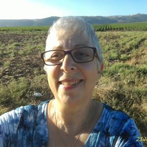 תמונת משתמש