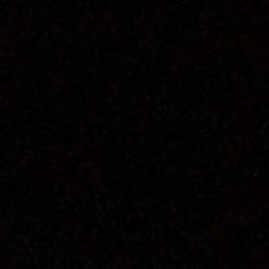 avi435741 - תמונה