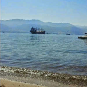 nilisusa - תמונה