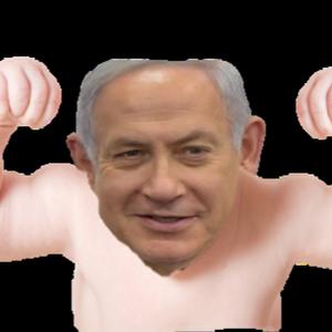 yehonatan4455 - תמונה