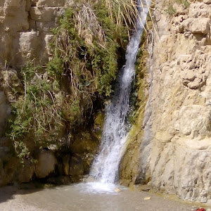 evashartilov76 - תמונה