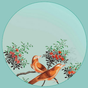 תמונת משתמש