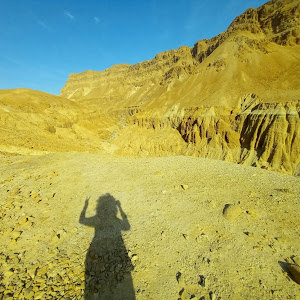 תמונת משתמש
