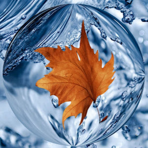 תמונת משתמש