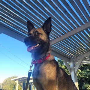 תמונת משתמש