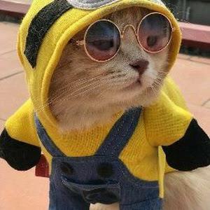 תמונת משתמש