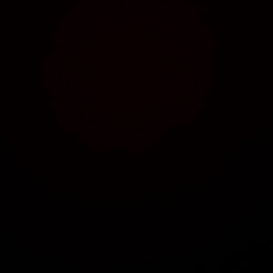 לילו - תמונה