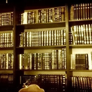 תמונת משתמש