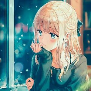 תמונת משתמש