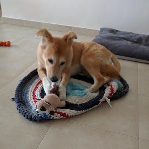 תמונת משתמש