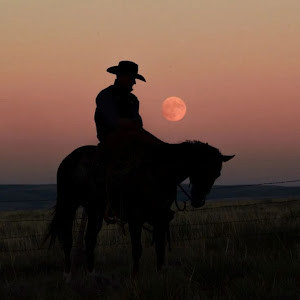 תמונת משתמש