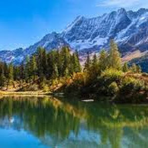 תמונת משתמש