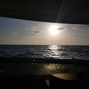 תמונת משתמש