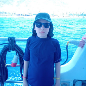 פודמאסטר - תמונה