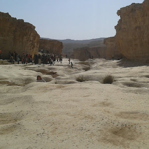 תמונת משתמש