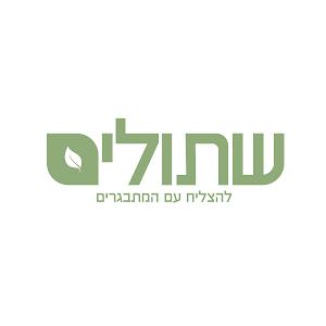 יחיאל ושיינא פליסקין
