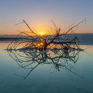 6787884mm - תמונה