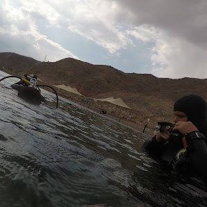 תמונת משתמש