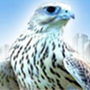 תמונת משתמש