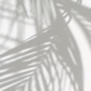 תמונת משתמש