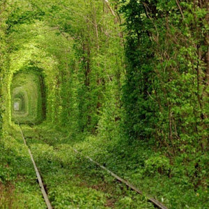 תמונת משתמש