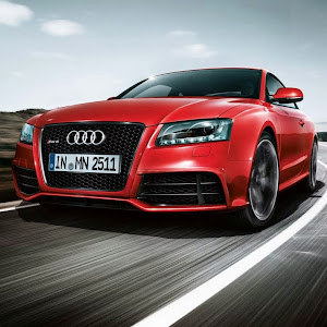 תמונת משתמש