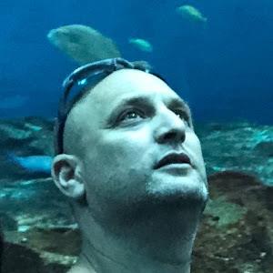 תמונת משתמש