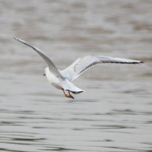 תמונת משתמש