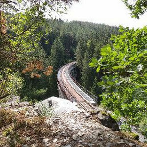 תמונת משתמש