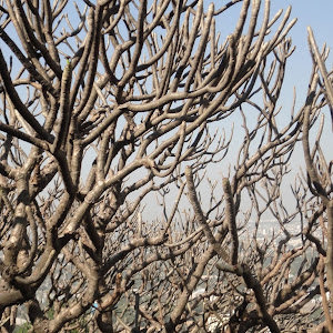 תמונת משתמש