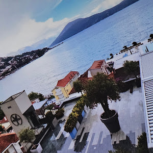 תמונת משתמש