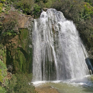 תמונת משתמש