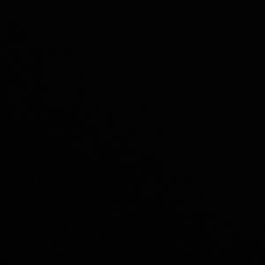 תמונת משתמש