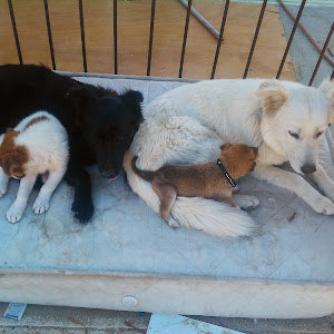 תמונת משתמש