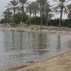 תמונת משתמש