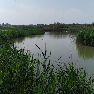 תמונת משתמש