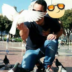 תמונת משתמש