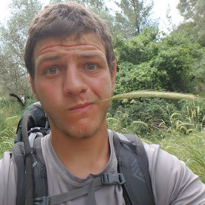 תמונת משתמש