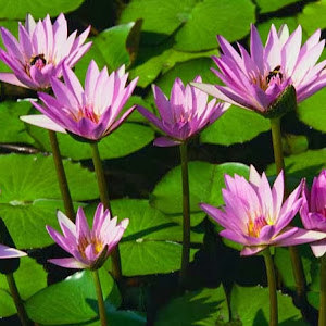 8499766 - תמונה