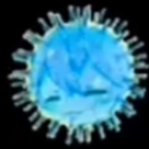 תמונת משתמש