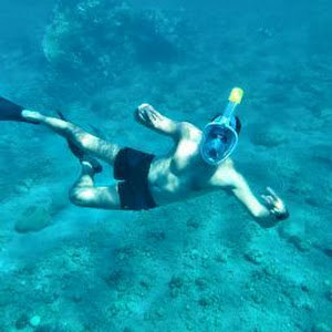 תמונת משתמש