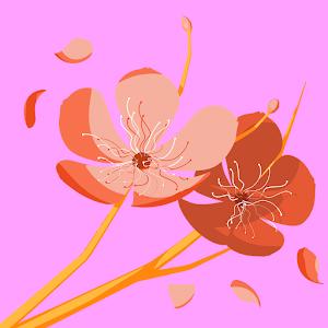 tamarim154 - תמונה