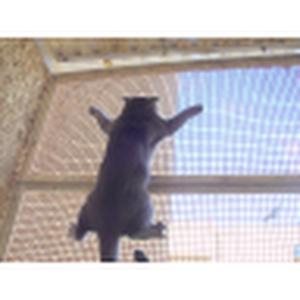 תמונת משתמש