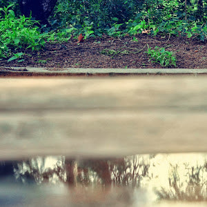 talmagen84 photo talmagen84 photo