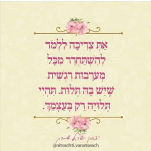 תמונת משתמש