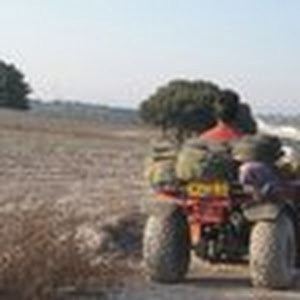 תמונת משתמש