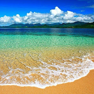 תמונת משתמש