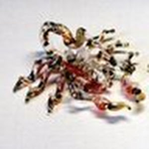 margarita76.ar - תמונה