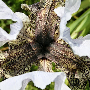 תמונת משתמש