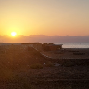 תמונת משתמש